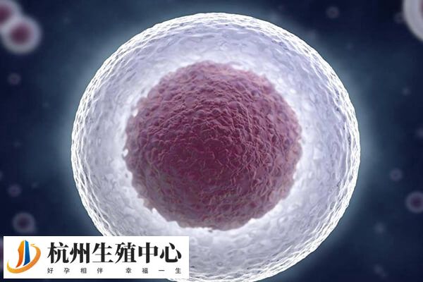 染色体嵌合比例低于40%可以移植