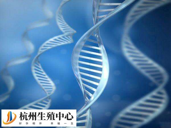 嵌合体囊胚移植后是有可能发生修复的