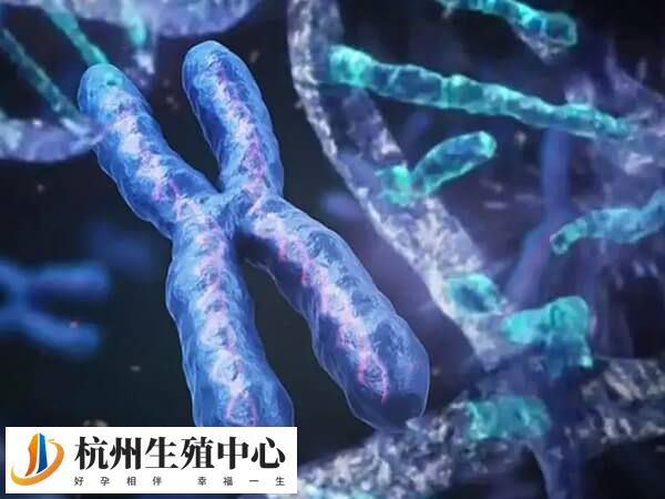 胎儿的性别是由精子携带的性染色体决定的