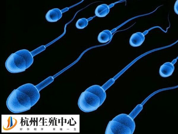 附睾抽吸精子分离术主要治疗男性不孕