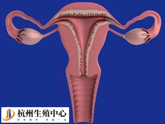 内膜三线不明显的原因有很多