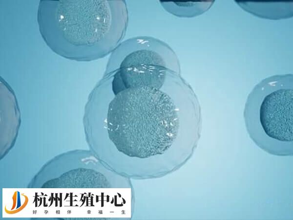 长方案可能增加卵巢过度刺激综合征风险