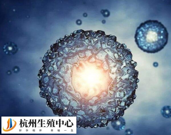 通过冻卵出生的新生儿的先天缺陷率仅为1.3%