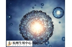 冻卵生的孩子正不正常